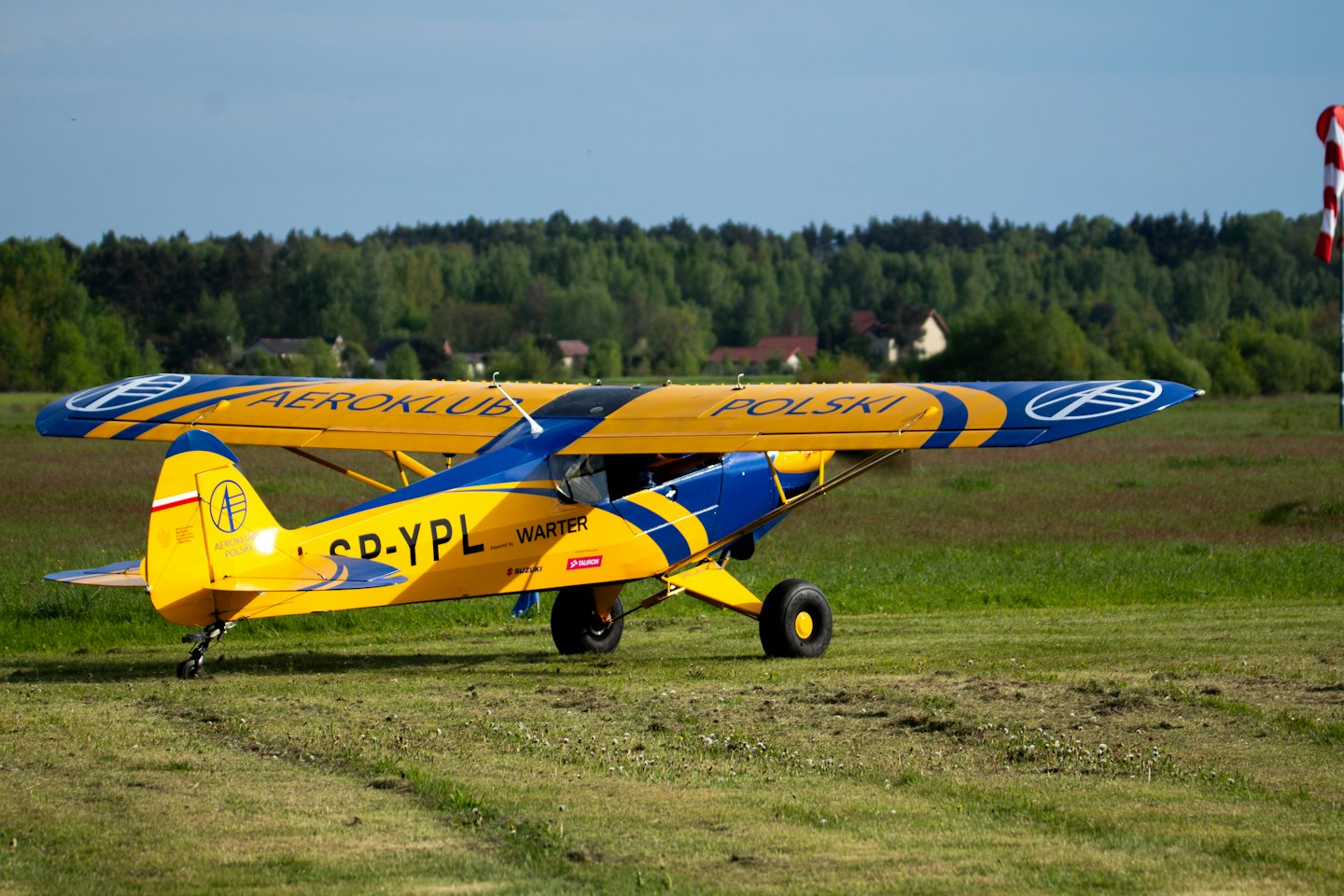 Aereo giallo e blu parcheggiato su un campo d'aviazione erboso.